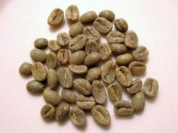 コロンビア生豆