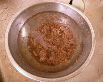 カラシナの種を水洗いする