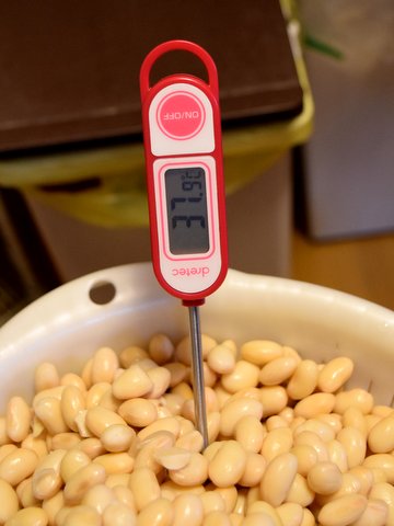 大豆の温度を計る