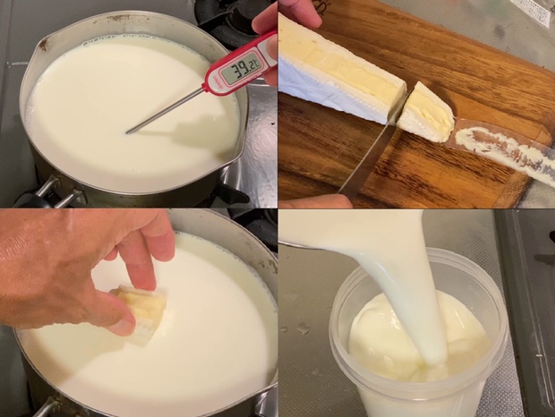 牛乳を温めて、ブリーチーズを一欠片牛乳に溶かし、適当な容器に入れて、ヨーグルトを作る