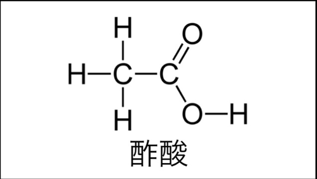 酢酸の構造図