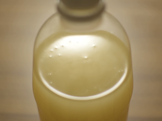 アルコール発酵しているリンゴジュースの液面