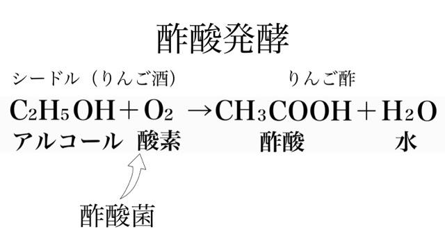 酢酸発酵の図