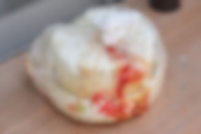 虫が発生したなれずし