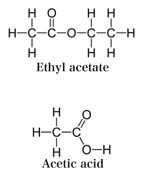 Ethyl acetate and acetic acid