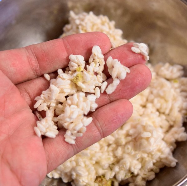 天然麹菌の米麹
