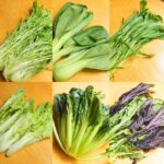 菜っ葉10種