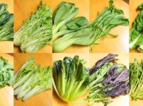 菜っ葉10種